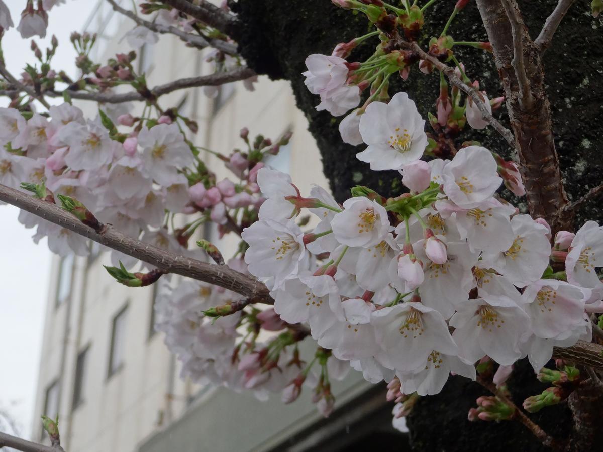 Hamakita Plaza Hotel Hamamatsu Esterno foto
